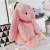 Adorable Rabbit Plush Toy