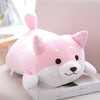 Plush Puppies