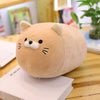 Animal Plush Toys