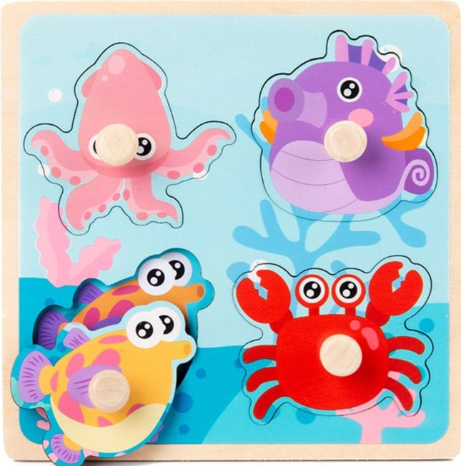 Wooden Puzzle Toys