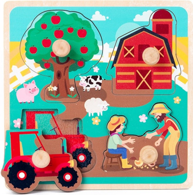 Wooden Puzzle Toys