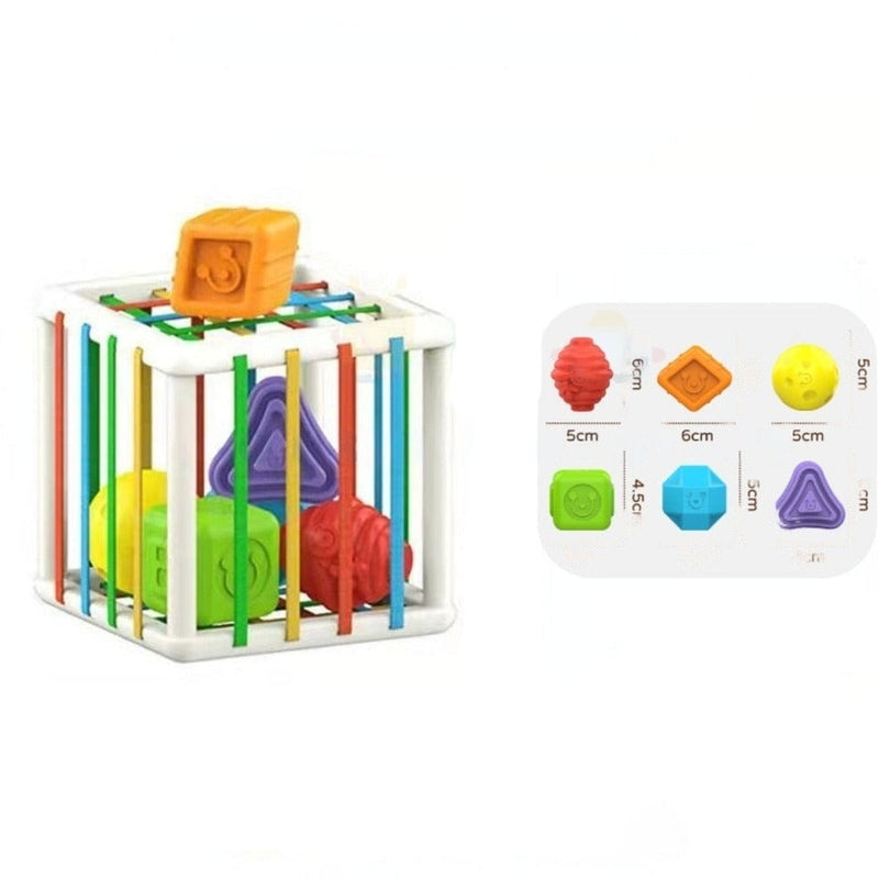 Shape Sorting Toys