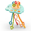 Interactive Rattle Toys