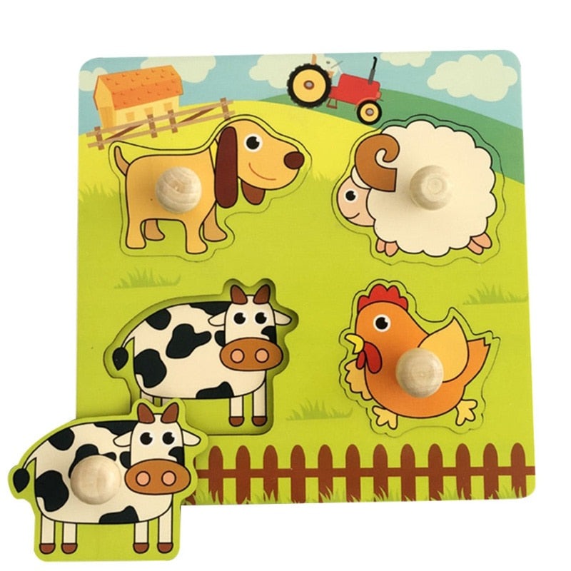 Wooden Puzzle Toys