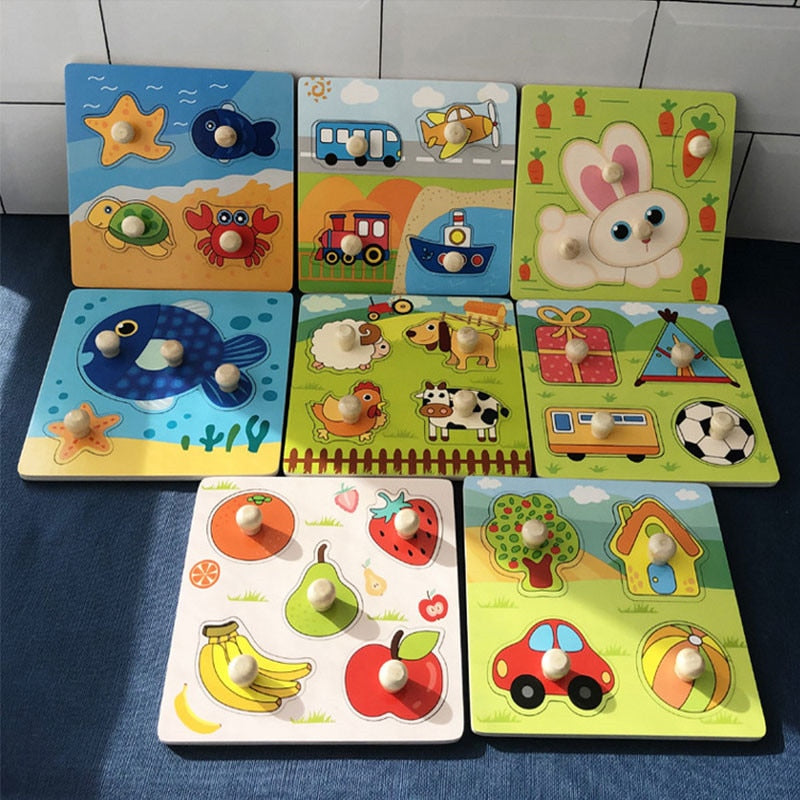Wooden Puzzle Toys