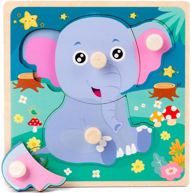 Wooden Puzzle Toys