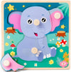Wooden Puzzle Toys