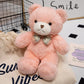 Soft Plush Teddy Bear | Cute Gift Toy for Kids and Home Decor