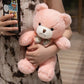 Soft Plush Teddy Bear | Cute Gift Toy for Kids and Home Decor