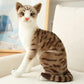 Cat Plush Toy - Soft Realistic Stuffed Cat for Kids & Nursery Decor