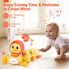 Dancing Duck Family Toy