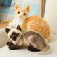 Cat Plush Toy - Soft Realistic Stuffed Cat for Kids & Nursery Decor