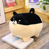 Animal Plush Toys