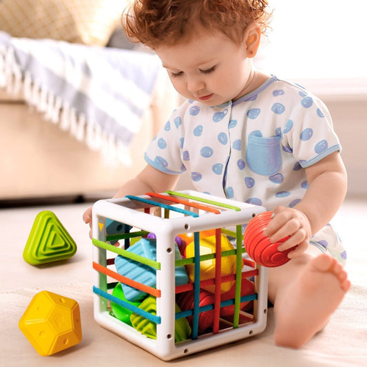 Shape Sorting Toys