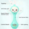 Music Playing Rattle Toys