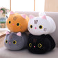 Cute Cat Plush Toys