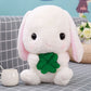 Cute Rabbit Stuffed Toy