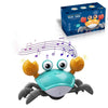 Crawling Crab/Octopus Toy