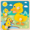 Wooden Puzzle Toys