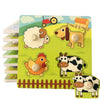Wooden Puzzle Toys