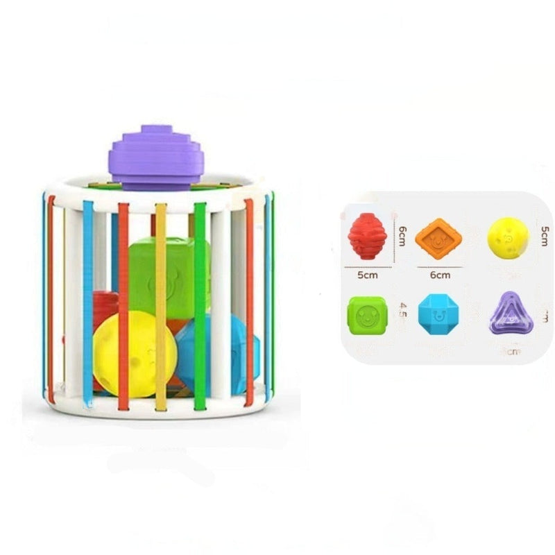 Shape Sorting Toys